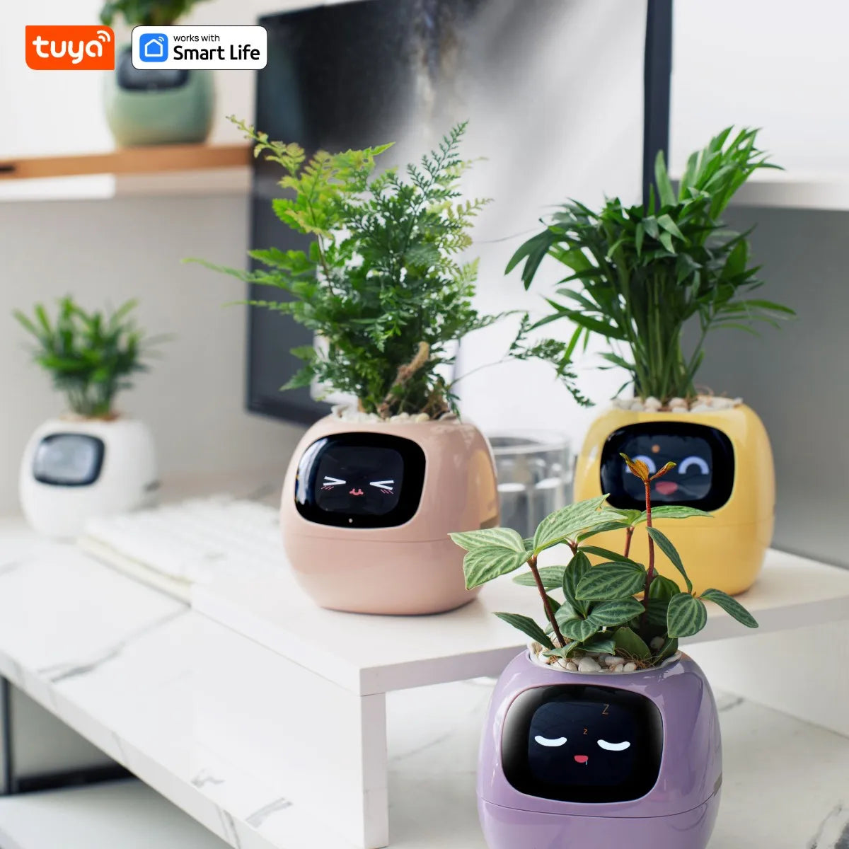 Purple Tuya Ivy Smart Planter