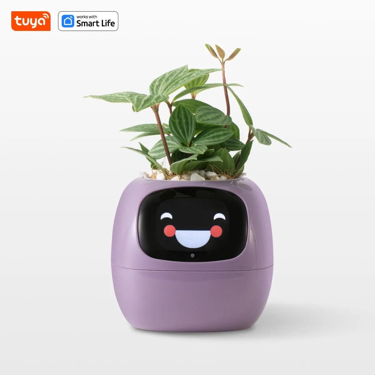 Purple Tuya Ivy Smart Planter