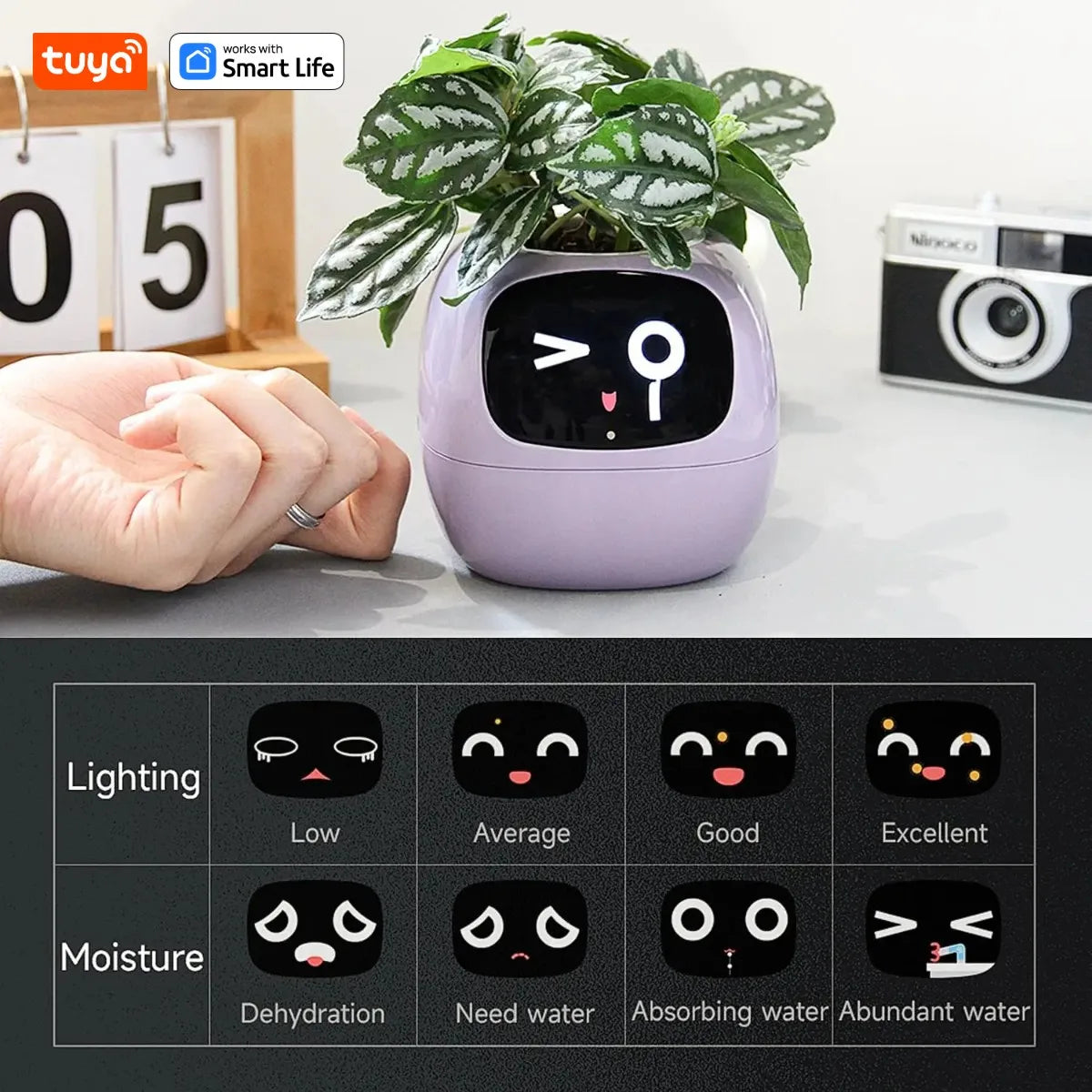 Purple Tuya Ivy Smart Planter