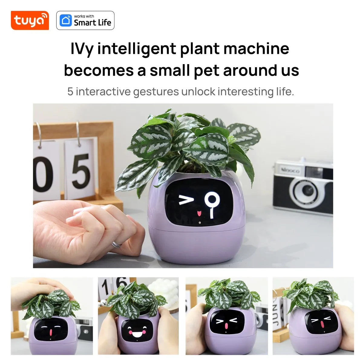 Purple Tuya Ivy Smart Planter